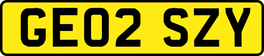 GE02SZY