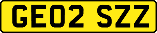 GE02SZZ