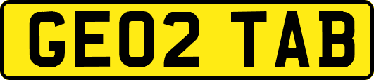 GE02TAB
