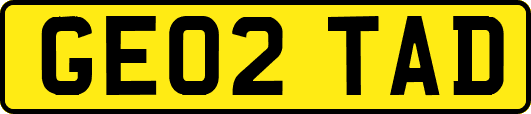 GE02TAD
