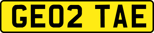 GE02TAE
