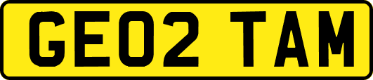 GE02TAM