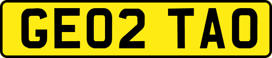 GE02TAO
