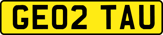 GE02TAU