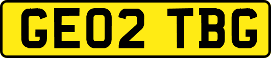 GE02TBG