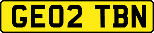 GE02TBN