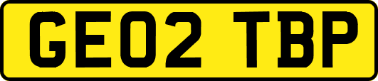 GE02TBP