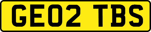 GE02TBS