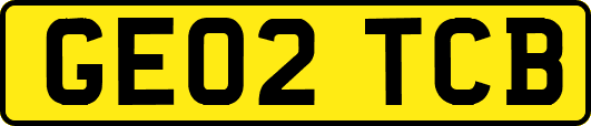 GE02TCB