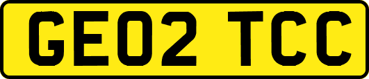 GE02TCC