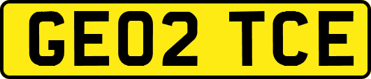 GE02TCE