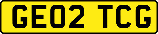 GE02TCG