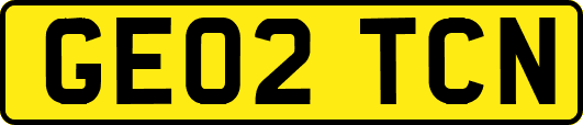 GE02TCN