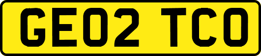 GE02TCO