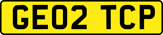 GE02TCP