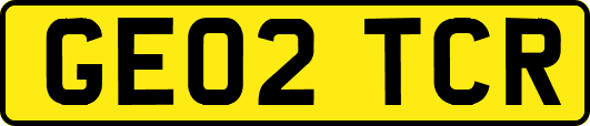 GE02TCR