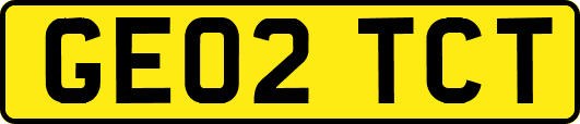 GE02TCT