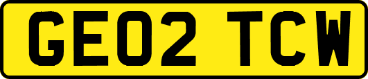 GE02TCW