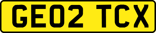 GE02TCX