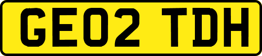 GE02TDH