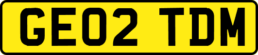 GE02TDM