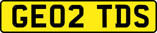 GE02TDS