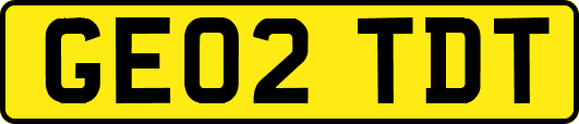 GE02TDT