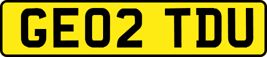 GE02TDU