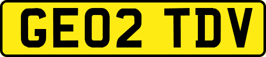 GE02TDV