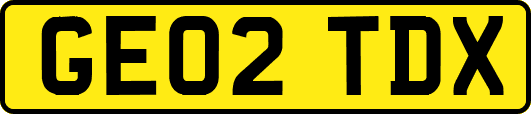 GE02TDX