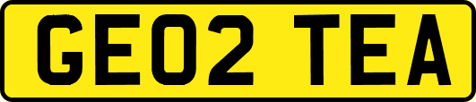 GE02TEA