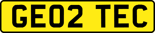 GE02TEC