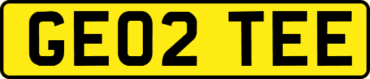 GE02TEE
