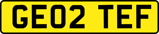GE02TEF