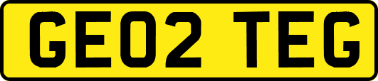 GE02TEG