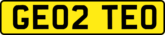 GE02TEO