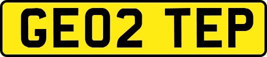 GE02TEP