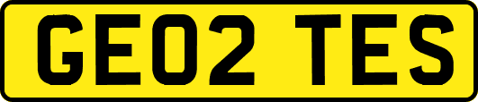 GE02TES