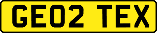 GE02TEX