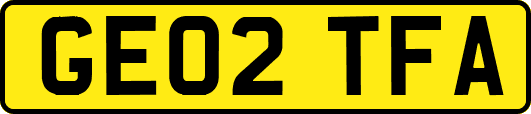GE02TFA
