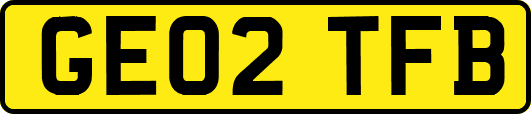 GE02TFB