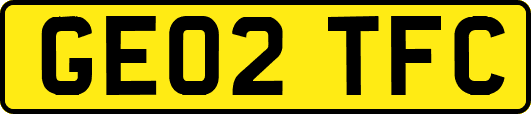GE02TFC