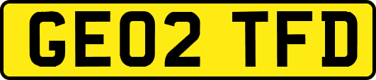 GE02TFD