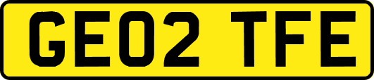 GE02TFE