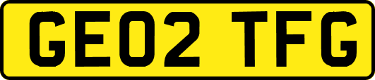 GE02TFG