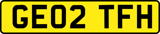 GE02TFH
