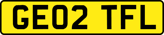 GE02TFL