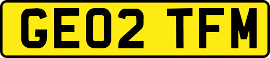 GE02TFM
