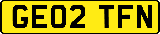 GE02TFN