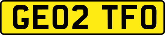 GE02TFO